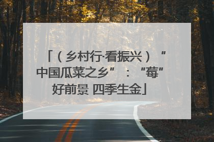 （乡村行·看振兴）“中国瓜菜之乡”：“莓”好前景 四季生金