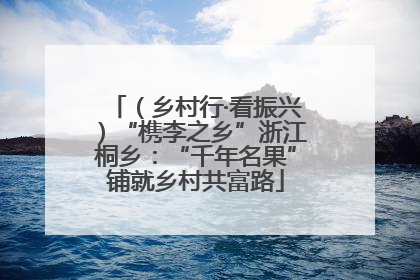 （乡村行·看振兴）“槜李之乡”浙江桐乡：“千年名果”铺就乡村共富路