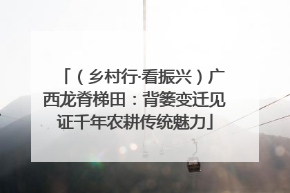 （乡村行·看振兴）广西龙脊梯田：背篓变迁见证千年农耕传统魅力