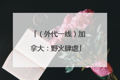 （外代一线）加拿大：野火肆虐