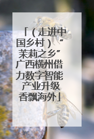 （走进中国乡村）“茉莉之乡”广西横州借力数字智能 产业升级香飘海外