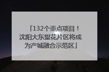 132个重点项目！沈阳大东望花片区将成为产城融合示范区