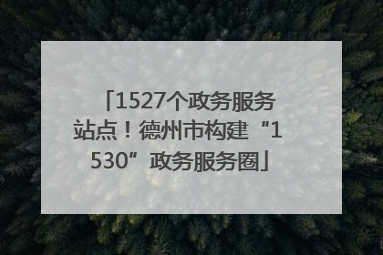 1527个政务服务站点！德州市构建“1530”政务服务圈
