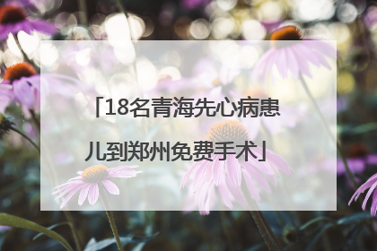 18名青海先心病患儿到郑州免费手术