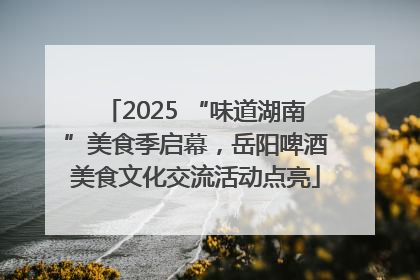 2025 “味道湖南”美食季启幕，岳阳啤酒美食文化交流活动点亮