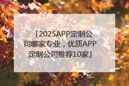 2025APP定制公司哪家专业，优质APP定制公司推荐10家