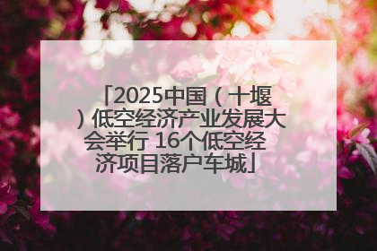 2025中国（十堰）低空经济产业发展大会举行 16个低空经济项目落户车城