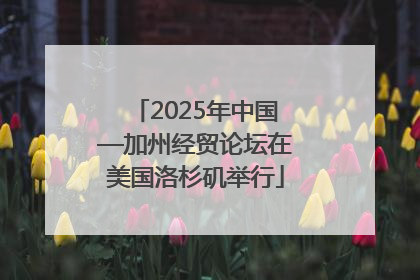 2025年中国—加州经贸论坛在美国洛杉矶举行