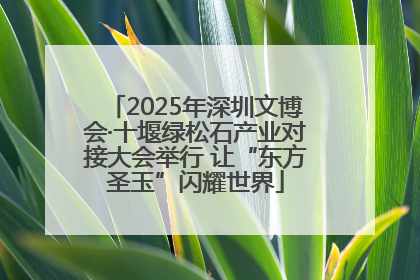 2025年深圳文博会·十堰绿松石产业对接大会举行 让“东方圣玉”闪耀世界
