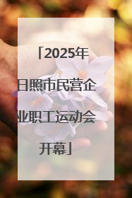 2025年日照市民营企业职工运动会开幕