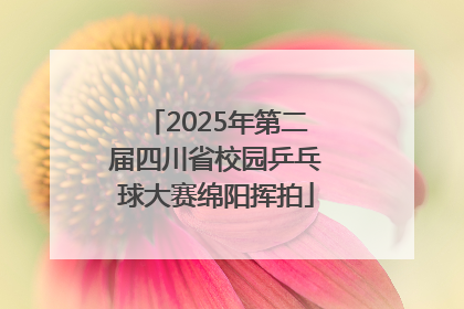 2025年第二届四川省校园乒乓球大赛绵阳挥拍