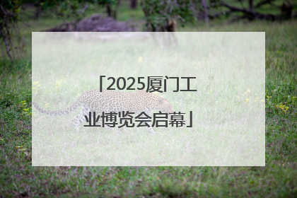 2025厦门工业博览会启幕