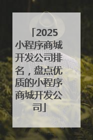 2025小程序商城开发公司排名，盘点优质的小程序商城开发公司