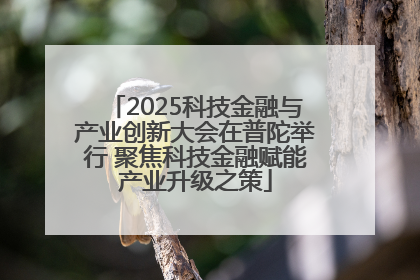 2025科技金融与产业创新大会在普陀举行 聚焦科技金融赋能产业升级之策