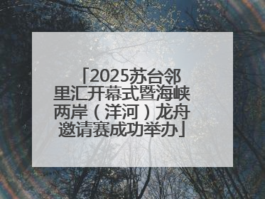 2025苏台邻里汇开幕式暨海峡两岸（洋河）龙舟邀请赛成功举办