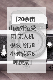 20余亩山蔬外运受阻 无人机极限飞行8小时转运6吨蔬菜