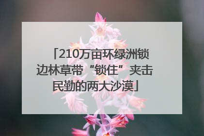 210万亩环绿洲锁边林草带“锁住”夹击民勤的两大沙漠