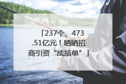 237个、473.51亿元！晒晒招商引资“成绩单”