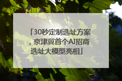 30秒定制选址方案，京津冀首个AI招商选址大模型亮相