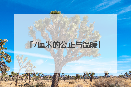 7厘米的公正与温暖