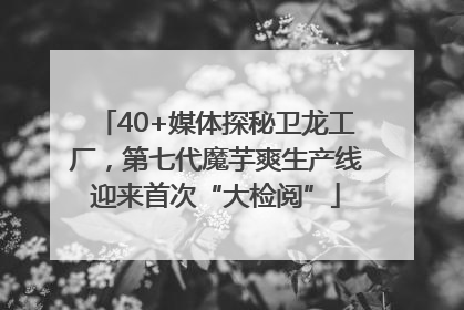 40+媒体探秘卫龙工厂，第七代魔芋爽生产线迎来首次“大检阅”