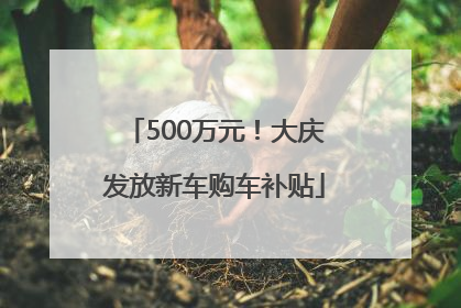 500万元！大庆发放新车购车补贴