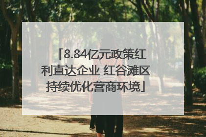 8.84亿元政策红利直达企业 红谷滩区持续优化营商环境