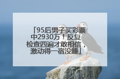 95后男子买彩票中2930万！反复检查四遍才敢相信，激动得一宿没睡