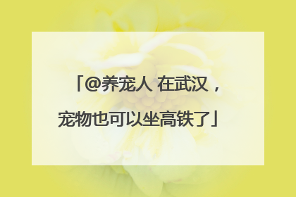 @养宠人 在武汉，宠物也可以坐高铁了