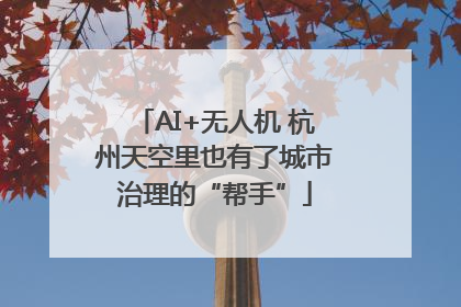 AI+无人机 杭州天空里也有了城市治理的“帮手”