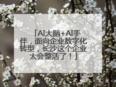 AI大脑+AI手伴，面向企业数字化转型，长沙这个企业太会整活了！