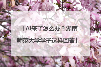 AI来了怎么办？湖南师范大学学子这样回答
