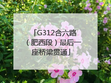 G312合六路（肥西段）最后一座桥梁贯通