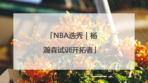 NBA选秀｜杨瀚森试训开拓者