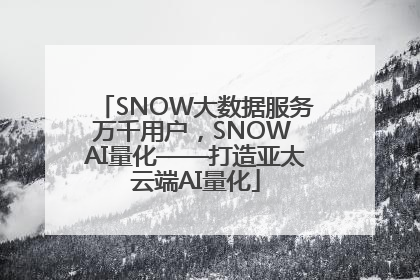 SNOW大数据服务万千用户，SNOW AI量化——打造亚太云端AI量化