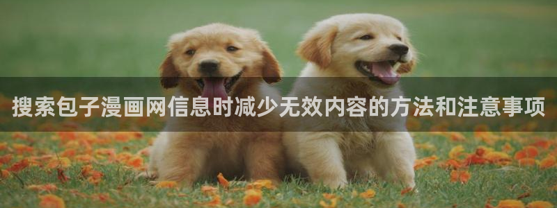免费漫画在线漫画入口
